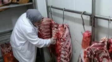 أسعار كيلو اللحمة في كفر الشيخ يوم الجمعة 28 نوفمبر 2025